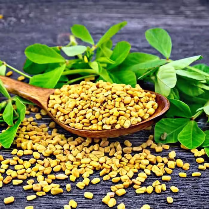 بذر شنبلیله پاکوتاه