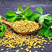 بذر شنبلیله پاکوتاه