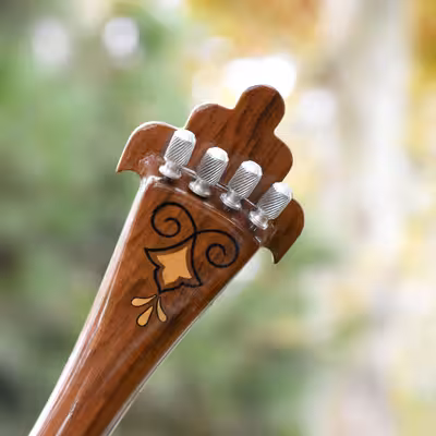 سه تار ایران ساز مدل جهان