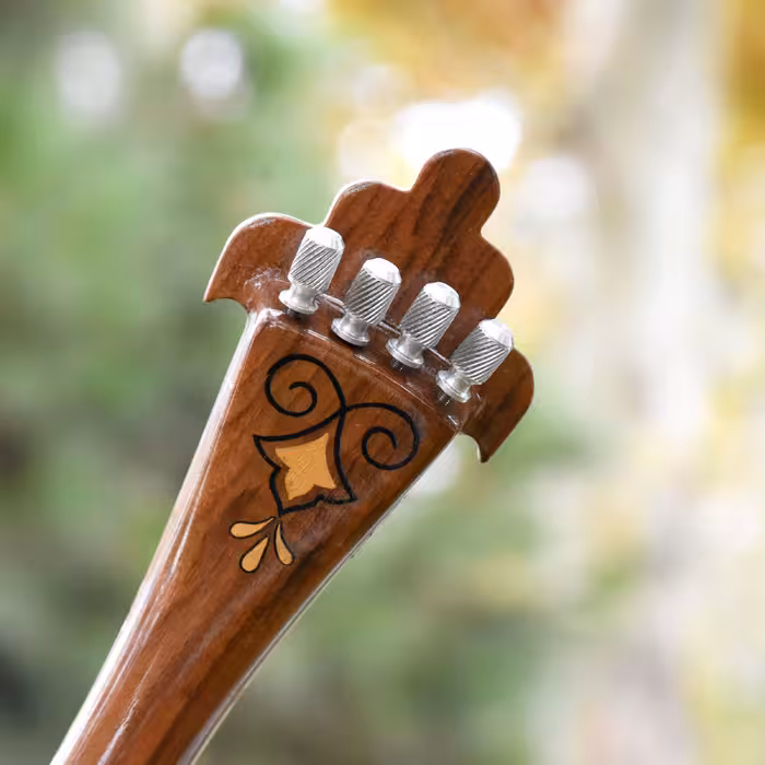 سه تار ایران ساز مدل جهان