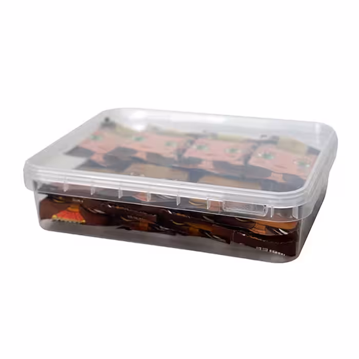 ظرف یکبار مصرف مدل RM 02 بسته 10 عددی