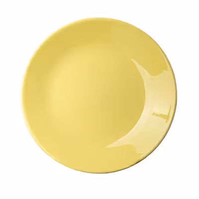 پیش دستی مدل رنگی بسته 6 عددی