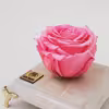 گل رز جاودان مدل PINK127