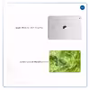 برچسب پوششی ماهوت مدل Green Crystal Marble مناسب برای تبلت اپل iPad Air 2013 A1476