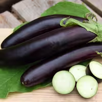 بذر بادمجان قلمی لانگ بلک وارنا