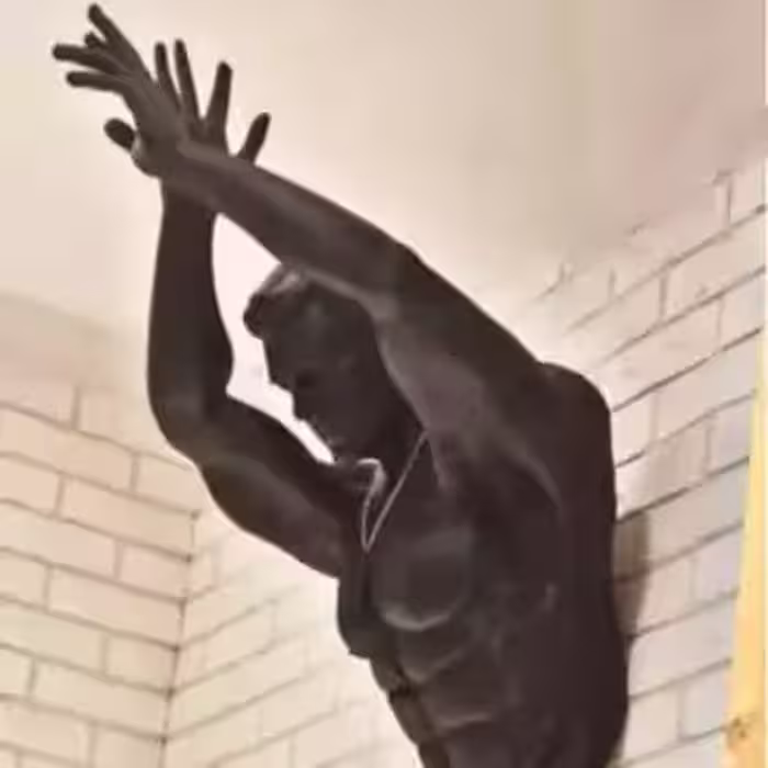 مجسمه دیوارکوب فیگور ورزشکار(پس کرایه)