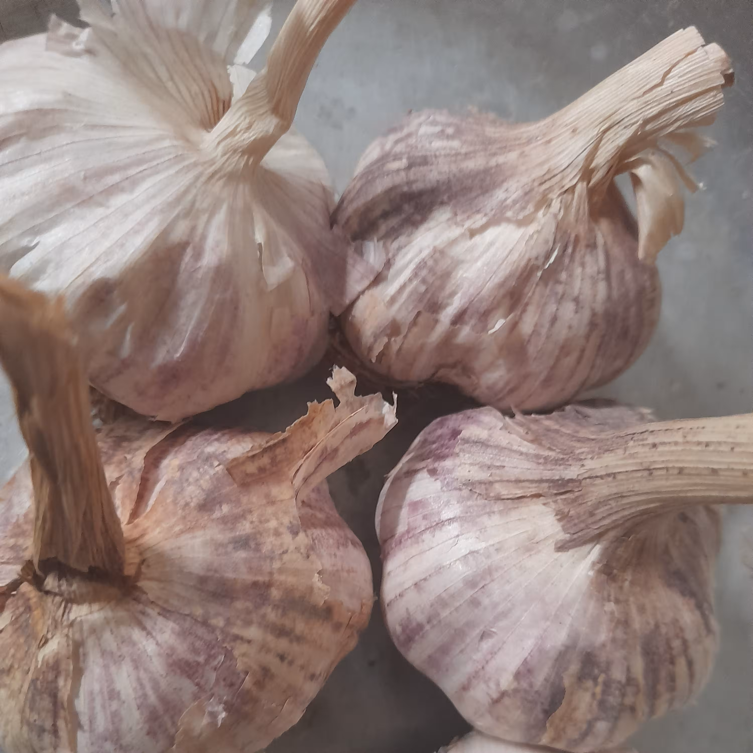 سیر خشک درجه 1 (500گرمی)