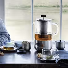 قوری وارمر دار دبلیو ام اف مدل WMF Tea pot with tea strainer SensiTea