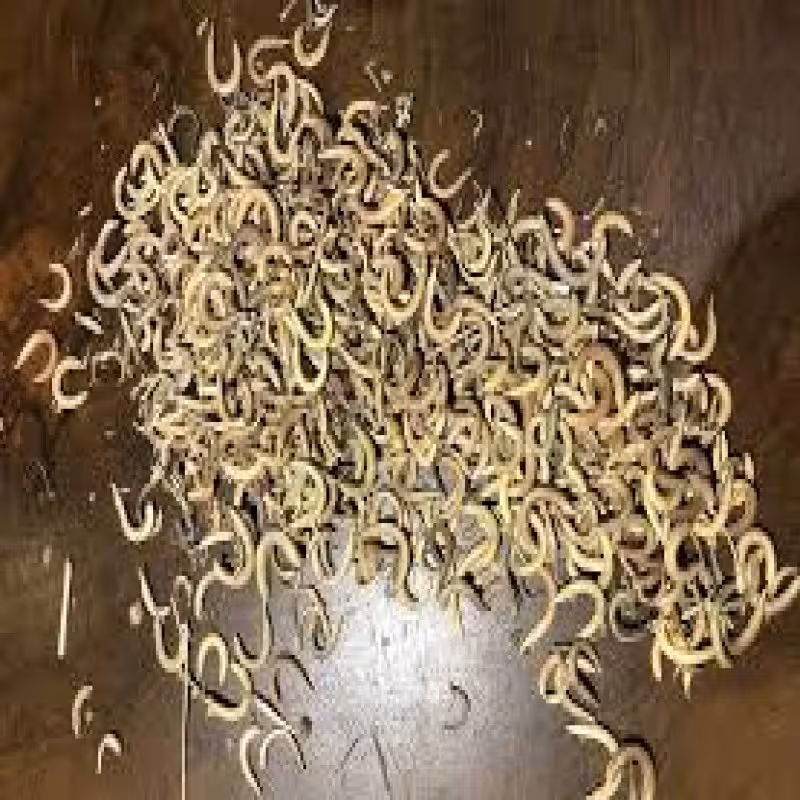 ناخنک مرغوب
