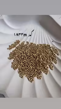 مهره میوکی دلیکا 1832