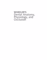 خرید و دانلود نسخه کامل کتاب Wheeler's Dental Anatomy, Physiology and Occlusion, 10th Ed
