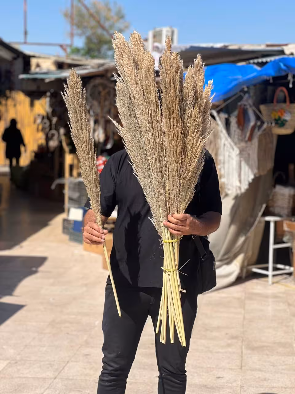 گل نی (گل خشک طبیعی)  شاخه 1عددی