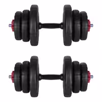 دمبل رادیس فیت مدل DVP-10mix1-v1 وزن 10 کیلوگرم بسته 2 عددی