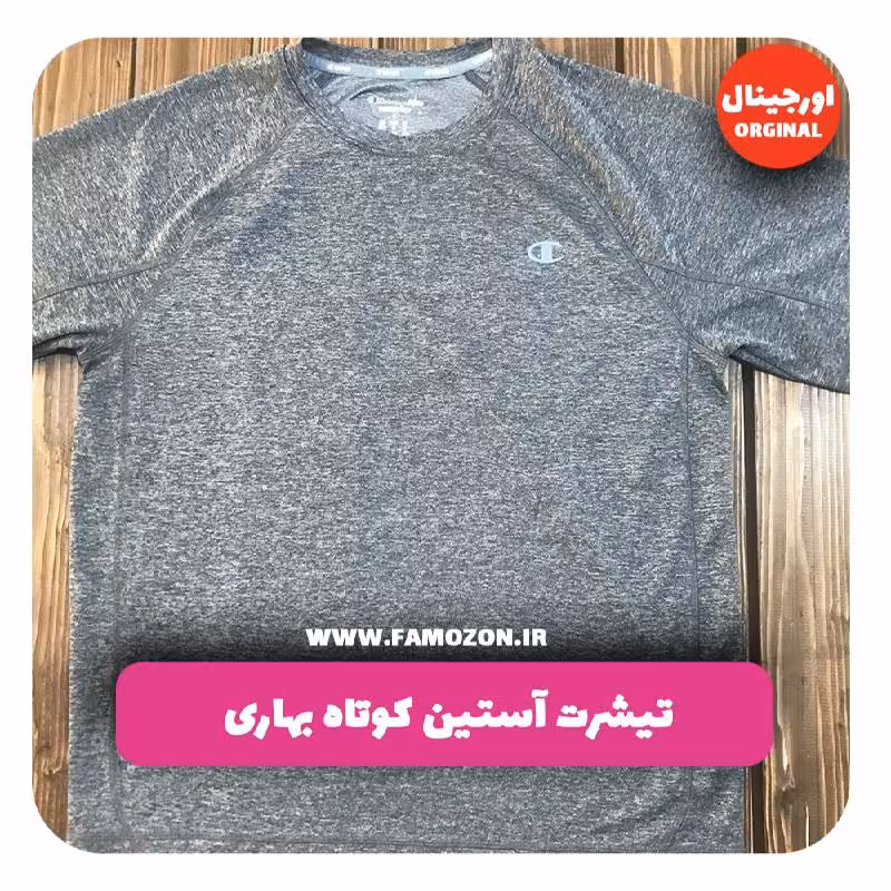 تیشرت خاکستری CHAMPION اورجینال