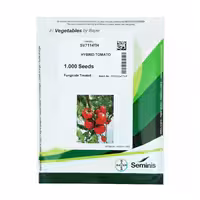 بذر گوجه گلخانه ای 7114 سمینیس
