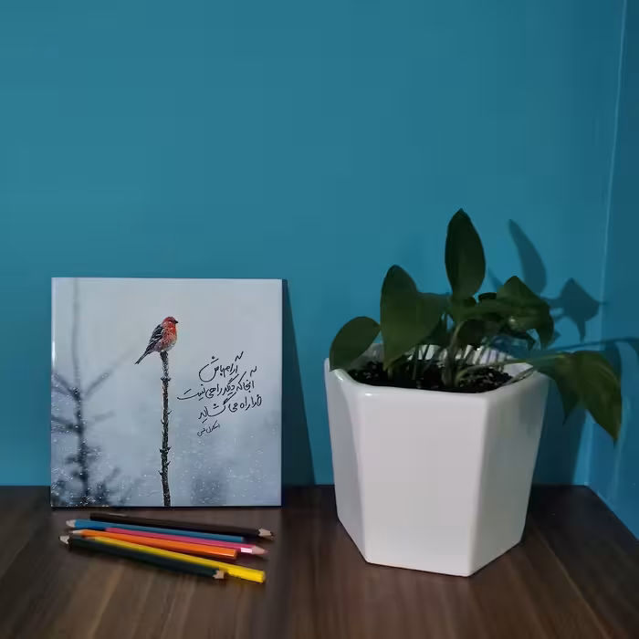 کاشی کارنیلا طرح نقل قول فلورنس اسکاول شین مدل لوحی کد WKB809 