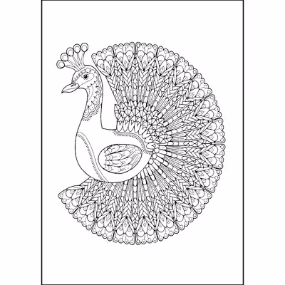 کتاب رنگ‌آمیزی برای بزرگسالان بازار طاووس اثر محمدمهدی کاظم‌زاده انتشارات گام‌اول