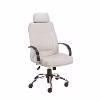 صندلی مدیریتی پویا مدل M705