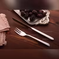 کارد و چنگال میوه خوری 12 پارچه رولنزا مدل C36