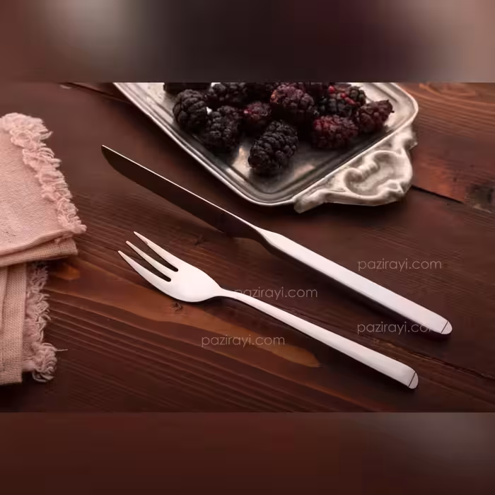 کارد و چنگال میوه خوری 12 پارچه رولنزا مدل C36