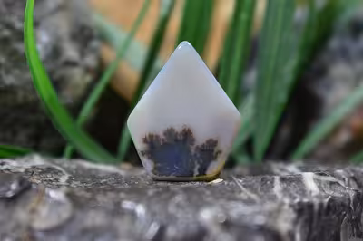 عقیق شجر هند