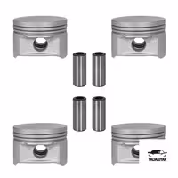 پیستون 25 – 206 تیپ 5  -کارتک