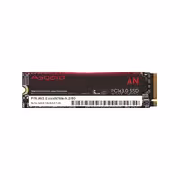 اس اس دی اینترنال ازگارد مدل AN3 M.2 NVMe ظرفیت 512 گیگابایت
