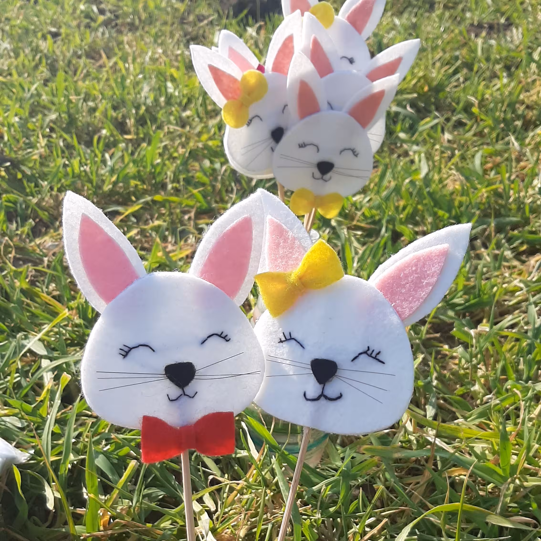 تاپر  خرگوش 