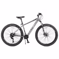 دوچرخه رالی سایز 29 مدل RALEIGH MIRAGE 90 2024 دیسکی 18دنده
