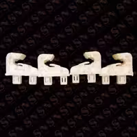 خار چراغ ماکسیما