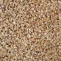 مغز گردوی معمولی صبحانه ای 