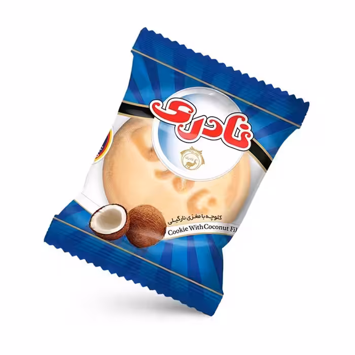 کلوچه پیک نیک نارگیلی نادری 60 گرمی