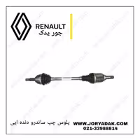 پلوس چپ ساندرو دنده ایی