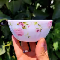 پیاله ماست و ترشی 6 عددی آرکوپال، طرح سارای، برند IROPAL
