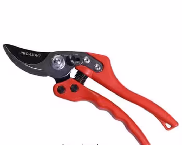 قیچی هرس لایت JH 705