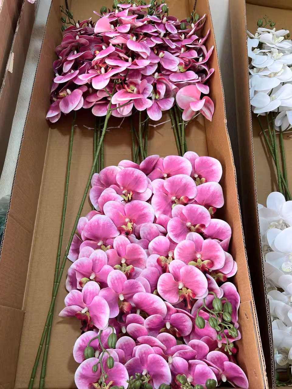 ارکیده لمسی بنفش دو رنگ 9گل