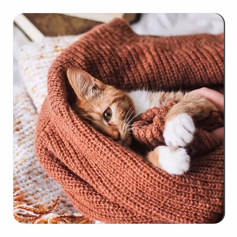 مگنت طرح گربه کد KN120