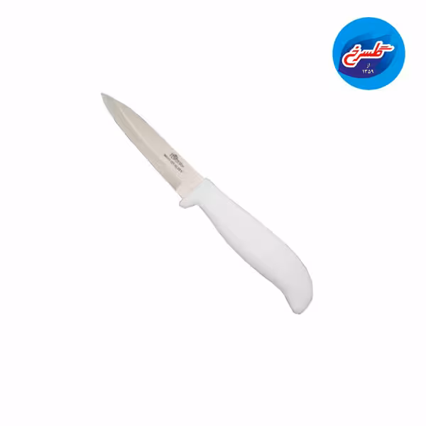 کارد اف تی‌ ویژن FTVision  غلاف دار دم دستی ساده