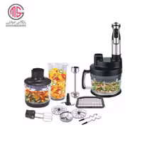 غذاساز 20 کاره دلمونتی DL120