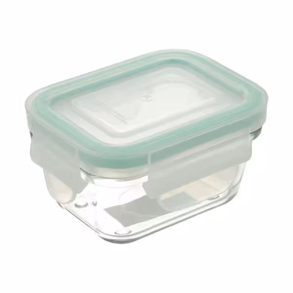 ظرف نگهدارنده لیمون مدل SAT681