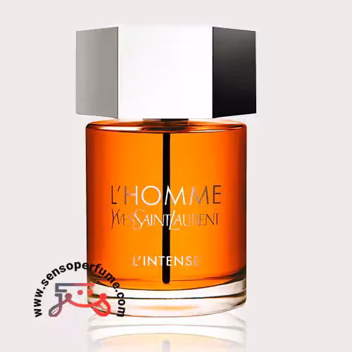 عطر ادکلن ایو سن لورن لهوم اینتنس | ysl l’homme intense