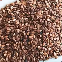 کنجد قهوه ای اعلا 500 گرم