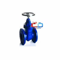 شیر فلکه کشویی چدنی زبانه لاستیکی فاراب 6 اینچ