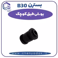 بوش طبق کوچک بسترن B30
