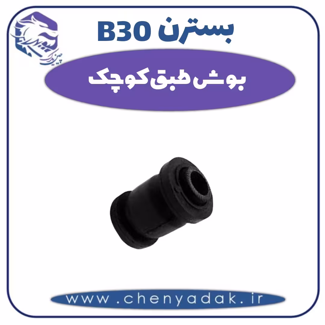 بوش طبق کوچک بسترن B30