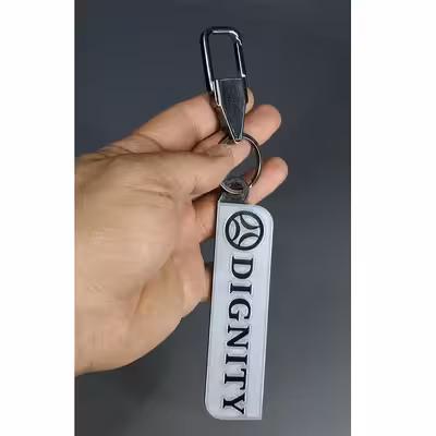 جاسوئیچی خودرو مدل Flexy مناسب برای خودروی دیگنیتی