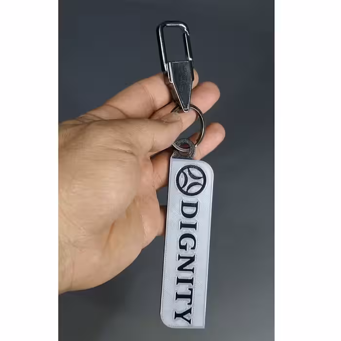 جاسوئیچی خودرو مدل Flexy مناسب برای خودروی دیگنیتی