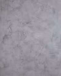 بک دراپ چوبی 289 روشن (3 سایز)