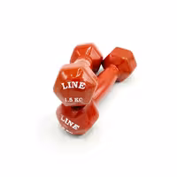 دمبل تفلون 1/5 کیلویی