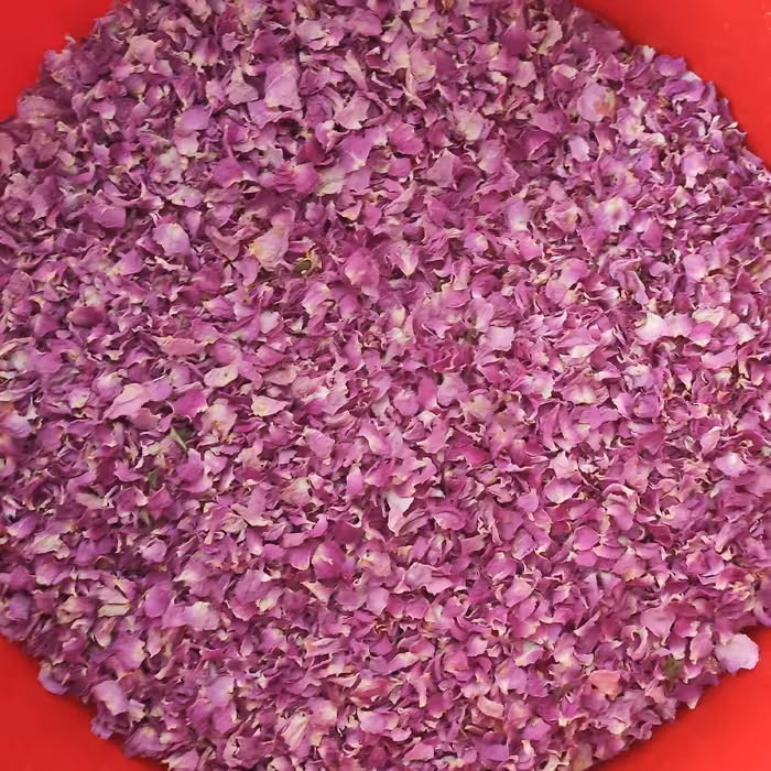 گل محمدی خشک شده و پر شده تازه و سایه خشک با حفظ رنگ که در تصویر میبینید.